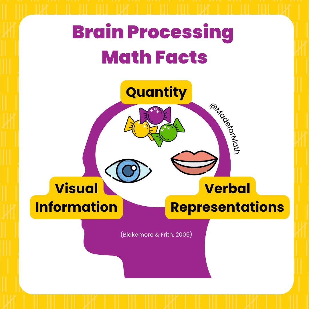 Brain processing math facts
